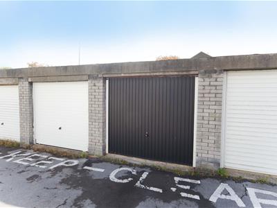 Picture 19